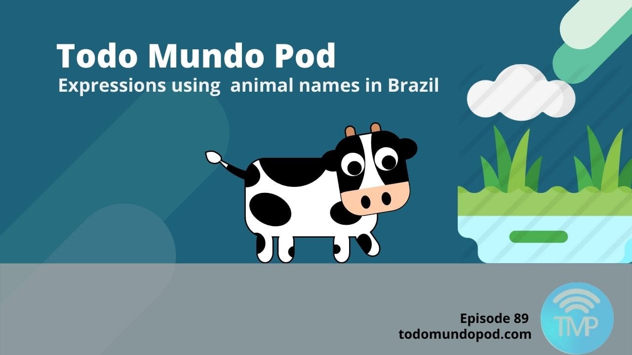 Expressions using animal names in Brazil
