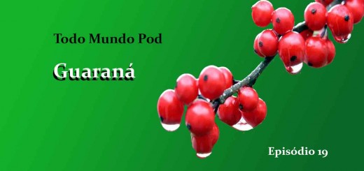 Brazilian guarana is a fruit that generates a seed used to make syrups , soft drinks and which is also used for slimming