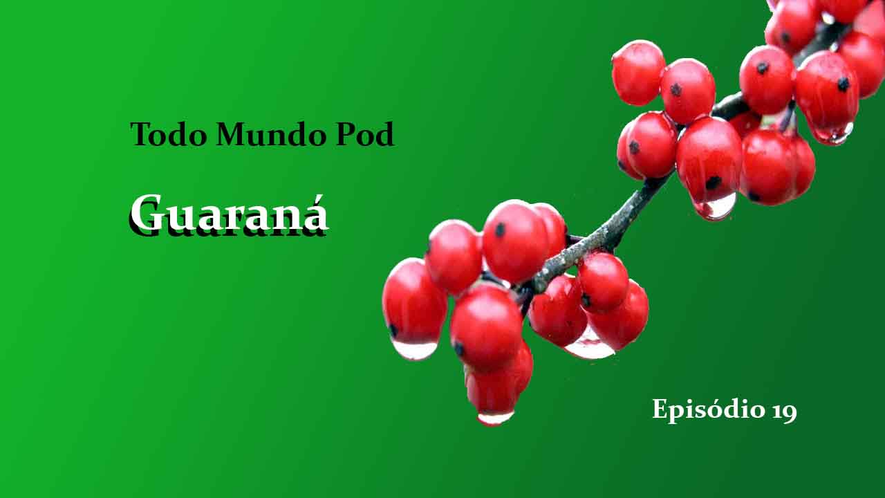 Brazilian guarana is a fruit that generates a seed used to make syrups , soft drinks and which is also used for slimming