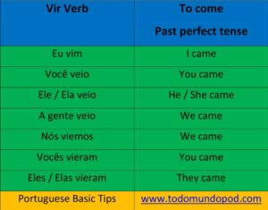 Vir verb conjugation in Portuguese - past perfect tense