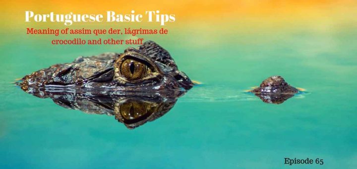 Learn the meaning of Meaning of assim que der, lágrimas de crocodilo and other stuff