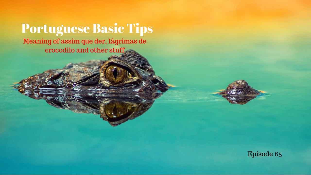 Learn the meaning of Meaning of assim que der, lágrimas de crocodilo and other stuff
