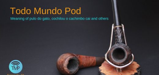 Episode containing the meaning of pulo do gato, cochilou o cachimbo cai and others