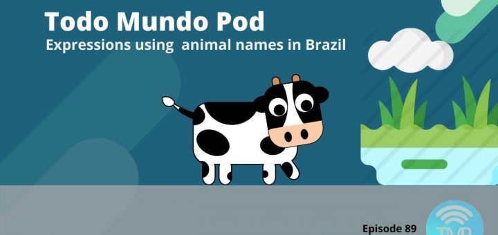Expressions using animal names in Brazil