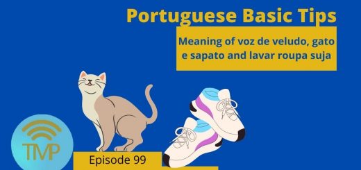 Meaning of voz de veludo, gato e sapato and lavar roupa suja
