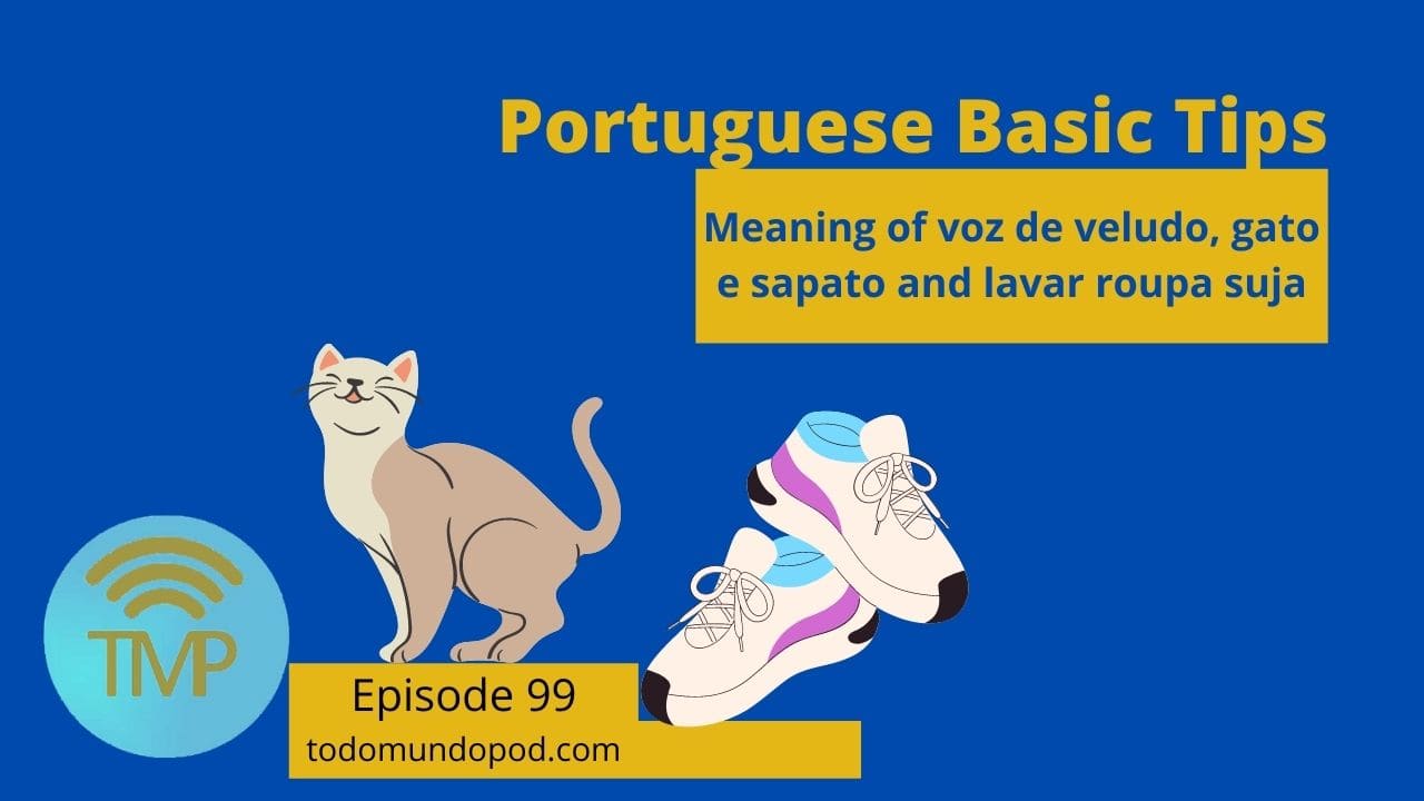 Meaning of voz de veludo, gato e sapato and lavar roupa suja